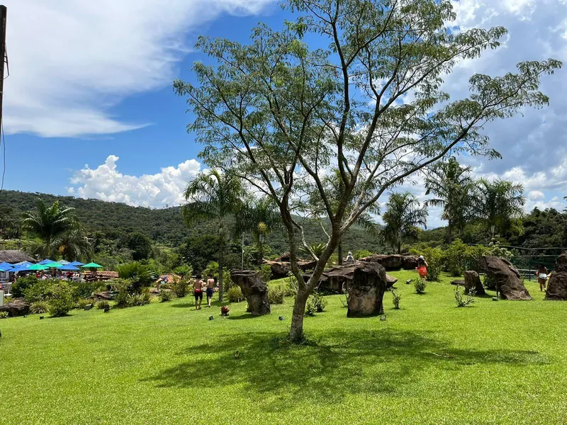 Gramado com árvores e sombra