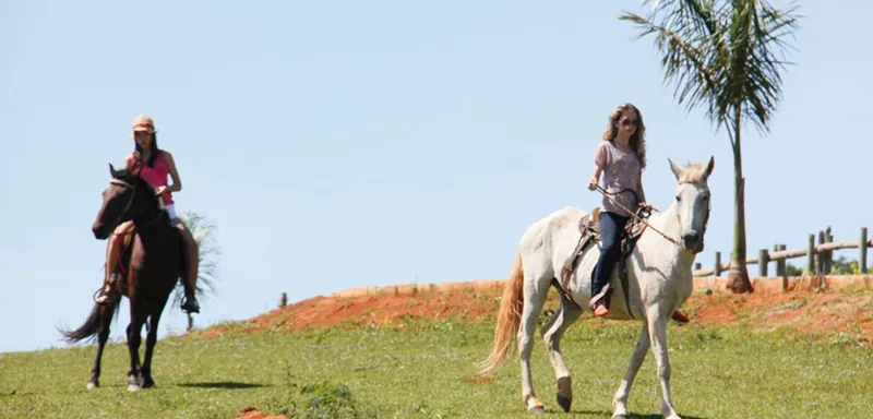 Cavalgada no alto do morro