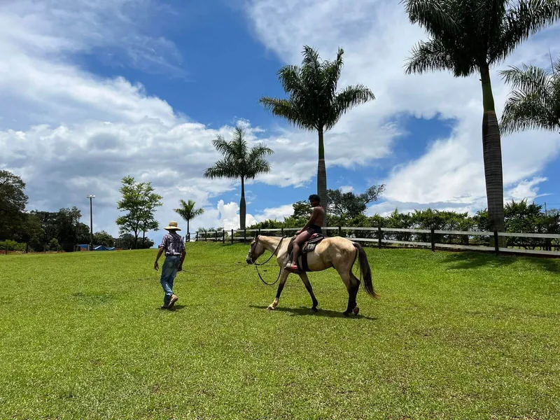 Passeio a cavalo no gramado entre palmeiras