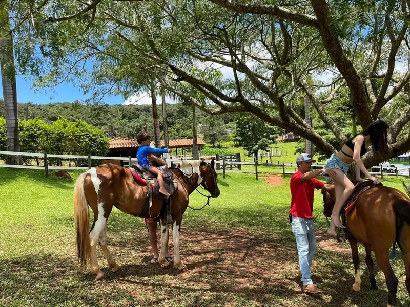 Cavalos selados prontos para a cavalgada